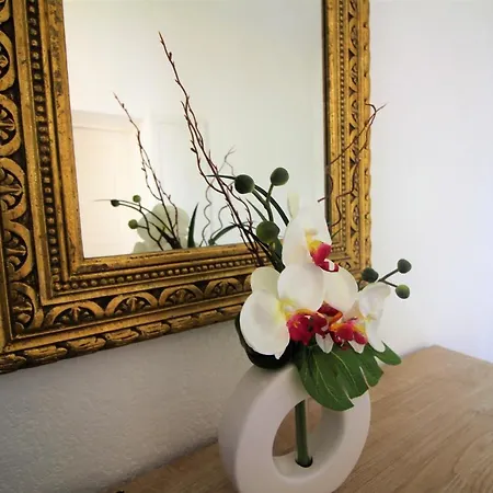 Conseil Immo - 1 Chambre, Zone Semi Pietonne -tol- Apartment